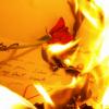 Love Letter on Fire